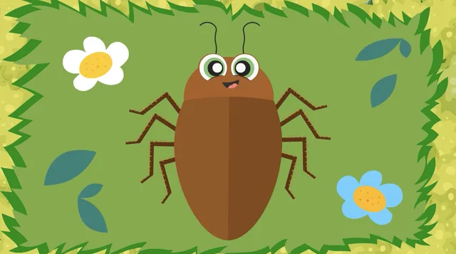 Insectos - Canción